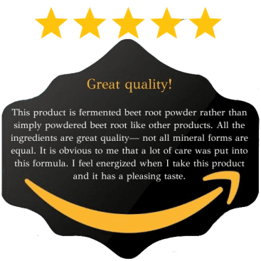 N1O1 N.O. Beetz beetroot nitric oxide supplement
